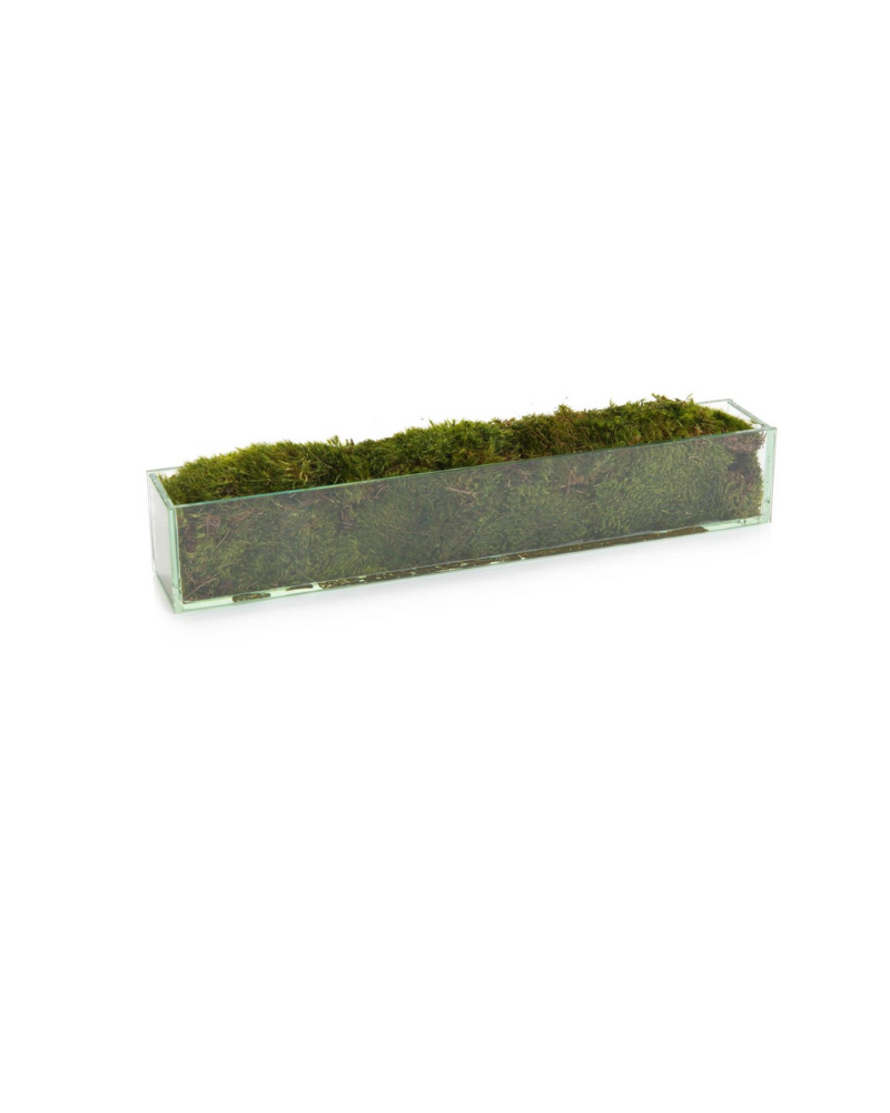 John Richard Moss Mound - Green