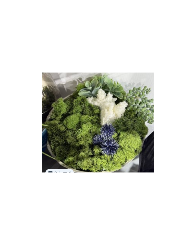 Bowl Container Floral with Stones - Silver